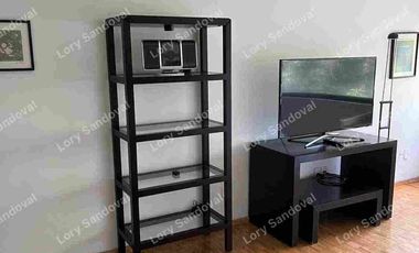 HERMOSO DEPARTAMENTO AMUEBLADO EN RENTA POLANCO