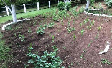 hermosa cabaña en Monterreal!