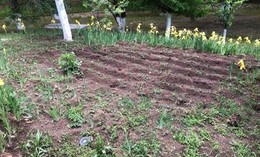 hermosa cabaña en Monterreal!