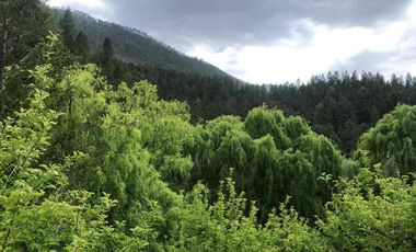 hermosa cabaña en Monterreal!