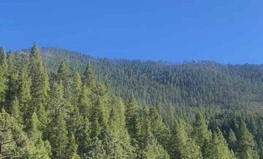 hermosa cabaña en Monterreal!