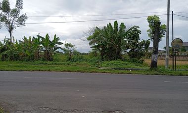 Disewakan Tanah Luas “Sudah Urug” Siap Bangun di Jl. Dlopo Grogol, Kawasan Ramai strategis