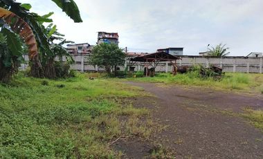 44,416 sqm Lot for Lease in Valley Golf Drive, Cainta, Rizal