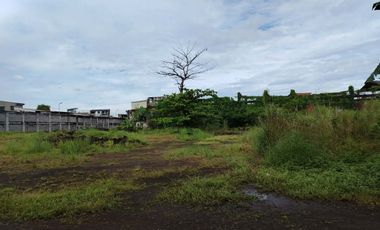 44,416 sqm Lot for Lease in Valley Golf Drive, Cainta, Rizal