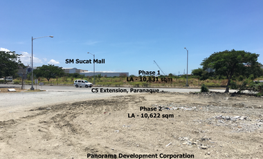10,831sqm Lot for Lease in Along C5 Extension, Paranaque City
