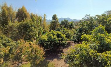 New Pool Villa in Pai: The Perfect Family Home or Rental Investment