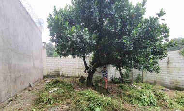 Lot For Sale in Brixtonville Subdivision - 4.5M - Negotiable. Rush. Owner badly need cash.