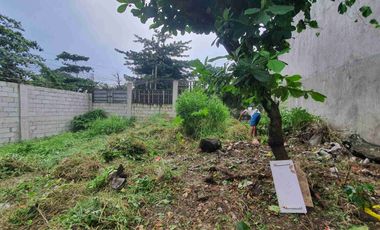 Lot For Sale in Brixtonville Subdivision - 4.5M - Negotiable. Rush. Owner badly need cash.