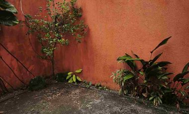 Furnished house for rent in Valenza Pontevedra