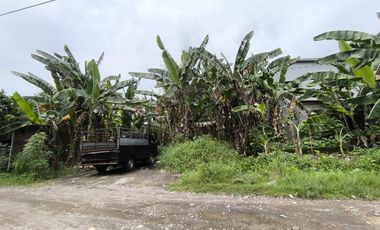 Murahnya kebangeten. Jual Tanah Siwalankerto Permai Surabaya. Dekat Petra Dekat A Yani Surabaya. Urgent perlu laku cepat