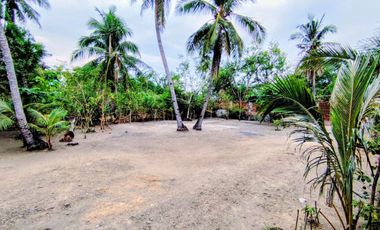 𝑹𝑬𝑺𝑰𝑫𝑬𝑵𝑻𝑰𝑨𝑳 𝑳𝑶𝑻, 𝑩𝑬𝑨𝑪𝑯 𝑳𝑶𝑻 𝒂𝒏𝒅 𝑹𝑰𝑪𝑬 𝑭𝑰𝑬𝑳𝑫 𝑭𝑶𝑹 𝑺𝑨𝑳𝑬 𝑰𝑵 𝑻𝑨𝑮𝑼𝑫𝑰𝑵 𝑰𝑳𝑶𝑪𝑶𝑺 𝑺𝑼𝑹