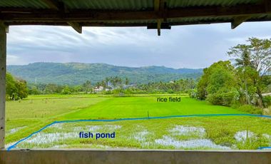 𝑹𝑬𝑺𝑰𝑫𝑬𝑵𝑻𝑰𝑨𝑳 𝑳𝑶𝑻, 𝑩𝑬𝑨𝑪𝑯 𝑳𝑶𝑻 𝒂𝒏𝒅 𝑹𝑰𝑪𝑬 𝑭𝑰𝑬𝑳𝑫 𝑭𝑶𝑹 𝑺𝑨𝑳𝑬 𝑰𝑵 𝑻𝑨𝑮𝑼𝑫𝑰𝑵 𝑰𝑳𝑶𝑪𝑶𝑺 𝑺𝑼𝑹