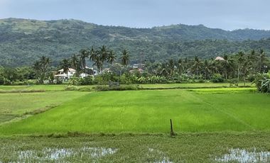 𝑹𝑬𝑺𝑰𝑫𝑬𝑵𝑻𝑰𝑨𝑳 𝑳𝑶𝑻, 𝑩𝑬𝑨𝑪𝑯 𝑳𝑶𝑻 𝒂𝒏𝒅 𝑹𝑰𝑪𝑬 𝑭𝑰𝑬𝑳𝑫 𝑭𝑶𝑹 𝑺𝑨𝑳𝑬 𝑰𝑵 𝑻𝑨𝑮𝑼𝑫𝑰𝑵 𝑰𝑳𝑶𝑪𝑶𝑺 𝑺𝑼𝑹