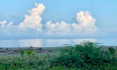 𝑹𝑬𝑺𝑰𝑫𝑬𝑵𝑻𝑰𝑨𝑳 𝑳𝑶𝑻, 𝑩𝑬𝑨𝑪𝑯 𝑳𝑶𝑻 𝒂𝒏𝒅 𝑹𝑰𝑪𝑬 𝑭𝑰𝑬𝑳𝑫 𝑭𝑶𝑹 𝑺𝑨𝑳𝑬 𝑰𝑵 𝑻𝑨𝑮𝑼𝑫𝑰𝑵 𝑰𝑳𝑶𝑪𝑶𝑺 𝑺𝑼𝑹