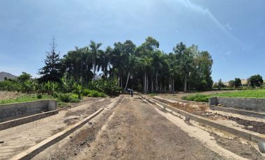 $ 350,000 X HA. PARCELA P/GANADERIA C/ZONA ENGORDE MATERNIDAD ZONA FORRAJE. 11.2881 HAS, CHANCAY LIMA