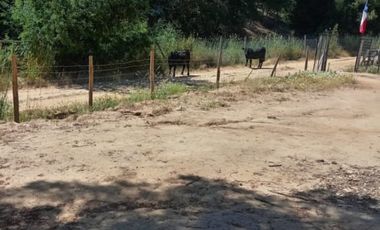 Vendo parcela en Brisas de Bucalemu, Pichilemu