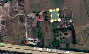 2000 SQM Mango Farm for Sale In Brgy Bical, Mabalacat City