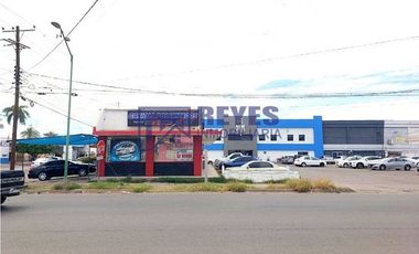 SE VENDEN 4 LOCALES COMERCIALES C. QUINTANA ROO EN CD. OBREGÓN