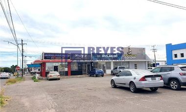 SE VENDEN 4 LOCALES COMERCIALES C. QUINTANA ROO EN CD. OBREGÓN