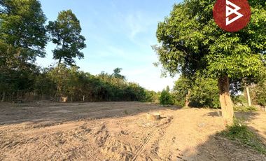 ขายบ้านเดี่ยวพร้อมที่ดิน เนื้อที่ 1 ไร่ 3 งาน 90 ตารางวา หาดท่าเสา ชัยนาท