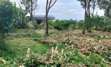 jarang ada! tanah bandung Utara View Bandung
