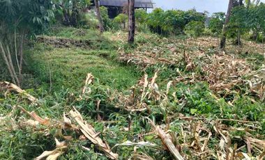 jarang ada! tanah bandung Utara View Bandung