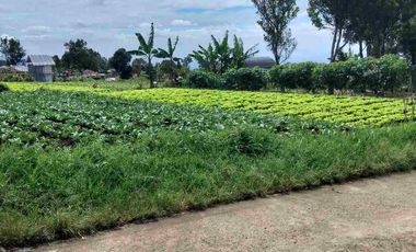 jarang ada! tanah bandung Utara View Bandung