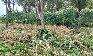 jarang ada! tanah bandung Utara View Bandung