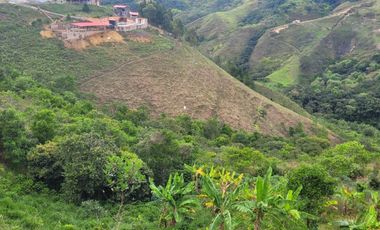 VENTA DE FINCA DE 7 HECTAREAS EN TIMBIO, CAUCA