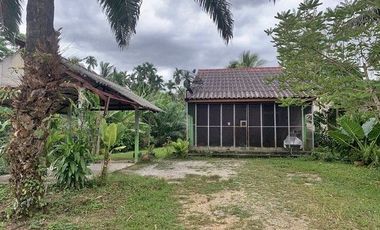 F2-0657 ขายบ้านเดี่ยว หมู่ 2 บ้านหนองเป็ด-บ้านกรงไหน ต. นาชุมเห็ด อ.ย่านตาขาว จ.ตรัง