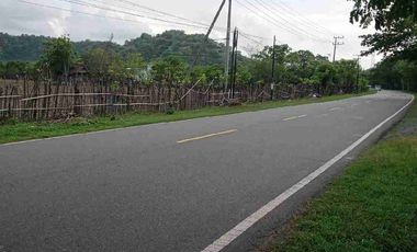 Tanah di Labuan Mapin Alas Barat Sumbawa Nusa Tenggara Barat