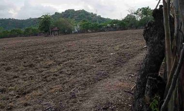 Tanah di Labuan Mapin Alas Barat Sumbawa Nusa Tenggara Barat