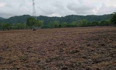 Tanah di Labuan Mapin Alas Barat Sumbawa Nusa Tenggara Barat
