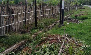 Tanah di Labuan Mapin Alas Barat Sumbawa Nusa Tenggara Barat