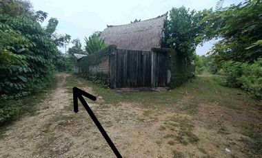 Lahan premium jimbaran Dekat damara village BUC lingkungan tenang cocok untuk villa atau rumah SHM zona Kuning