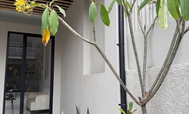 Dijual Rumah Brand New di Nusa Loka BSD CITY