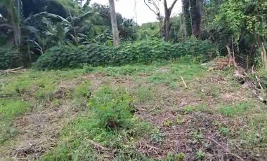 Lahan premium padang galak los Sungai SHM ready zona Pariwisata atau Pink lingkungan asri sangat bagus untuk Komplek villa komersil