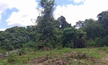 Lahan premium padang galak los Sungai SHM ready zona Pariwisata atau Pink lingkungan asri sangat bagus untuk Komplek villa komersil