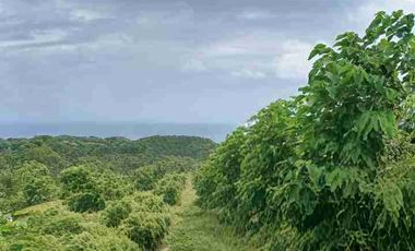 Lahan Pandawa ring road access pink zone SHM perfect for hotels and villa Kompleks