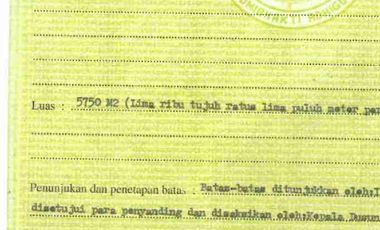 Lahan Pandawa ring road access pink zone SHM perfect for hotels and villa Kompleks