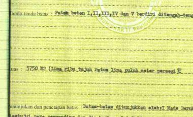 Lahan Pandawa ring road access pink zone SHM perfect for hotels and villa Kompleks