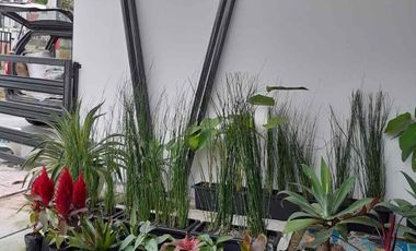 Rumah Cantik View Pegunungan, Murah, Sejuk dan Asri di Bogor