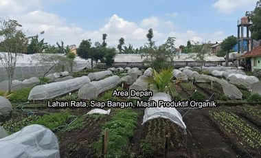 Rare Opportunity: Flat Land Ready to Build in Parongpong, 39m Frontage, Ideal for Villa or Townhouse, Best Price in Class!