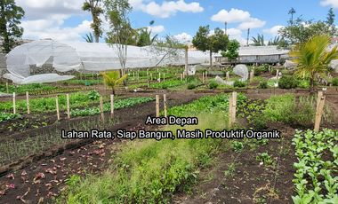 Rare Opportunity: Flat Land Ready to Build in Parongpong, 39m Frontage, Ideal for Villa or Townhouse, Best Price in Class!