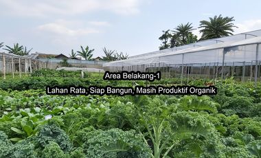 Rare Opportunity: Flat Land Ready to Build in Parongpong, 39m Frontage, Ideal for Villa or Townhouse, Best Price in Class!