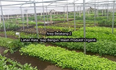 Rare Opportunity: Flat Land Ready to Build in Parongpong, 39m Frontage, Ideal for Villa or Townhouse, Best Price in Class!