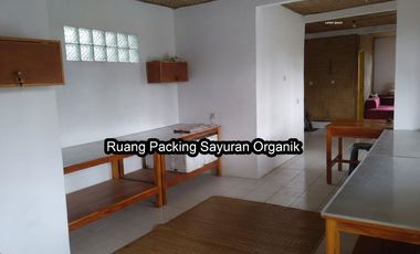 Rare Opportunity: Flat Land Ready to Build in Parongpong, 39m Frontage, Ideal for Villa or Townhouse, Best Price in Class!