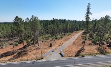 Exclusivas parcelas agrícolas de 5.000 m² PARRAL  VII Región del Maule