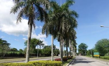 Residential Lots for Sale in Carmeltown Canlubang Laguna