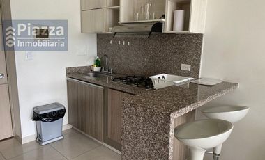 Apartaestudio AMOBLADO en Arriendo en Ibague, Terekay 2, Calle 69